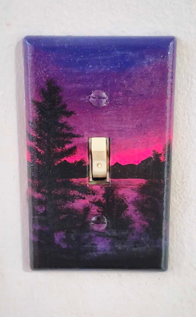 Custom Hand-Painted Wall Switch Plates – Made to Order! - photo 3