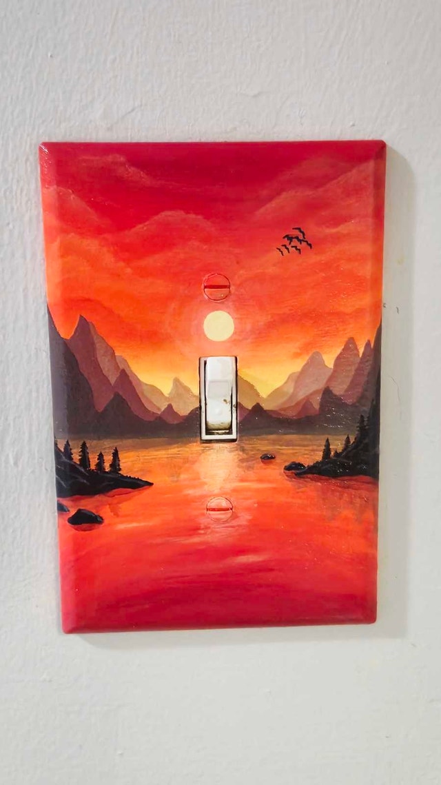 Custom Hand-Painted Wall Switch Plates – Made to Order! - photo 4
