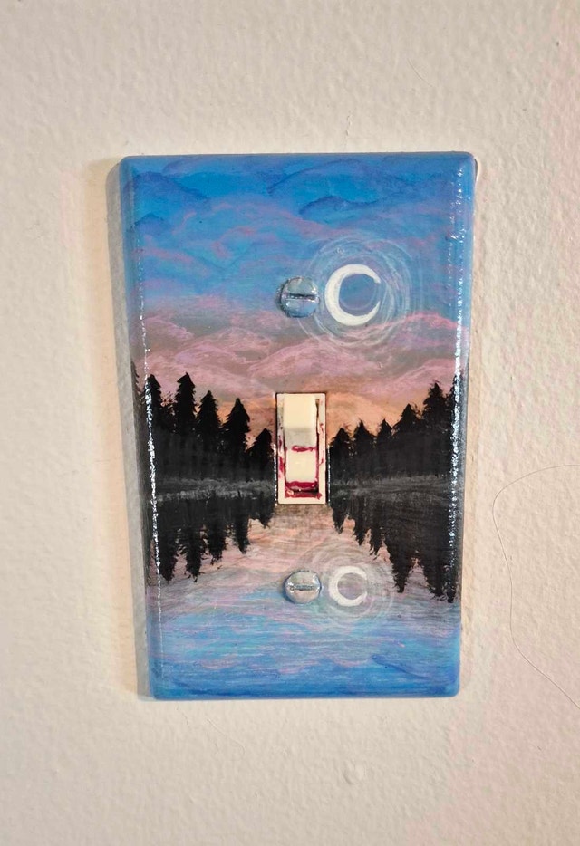 Custom Hand-Painted Wall Switch Plates – Made to Order! - photo 5