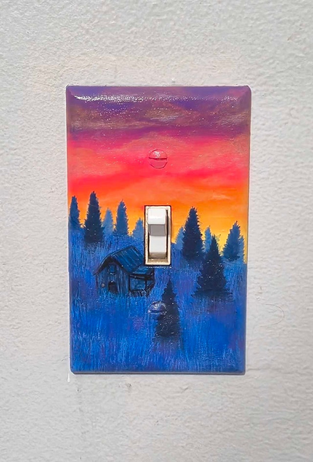 Original Hand Painted Wall Switch Plate