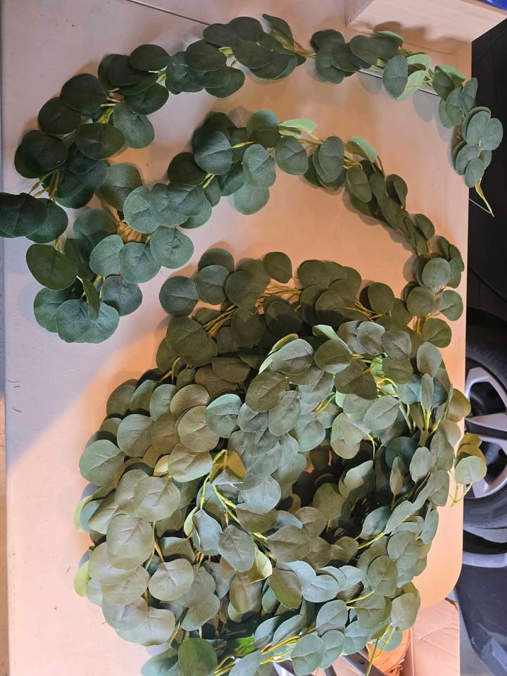 Wedding/Home Decor - Eucalyptus, Pinecones, Lights & More! - photo 2