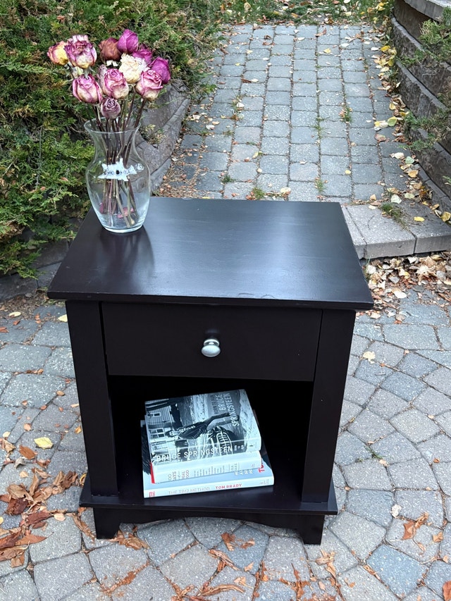 Beautiful hand painted night table