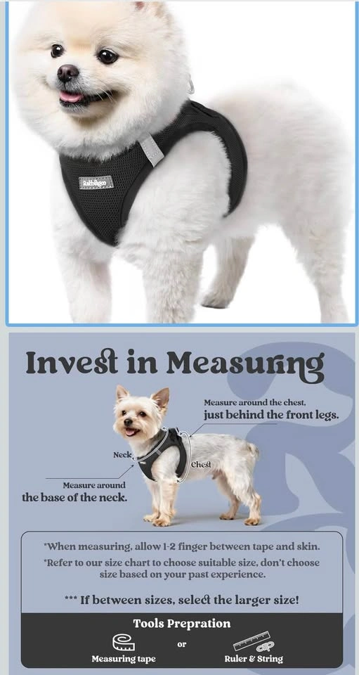 Rabbitgoo Small Dog Harness - photo 2