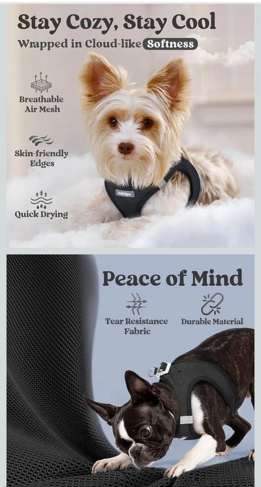 Rabbitgoo Small Dog Harness - photo 4