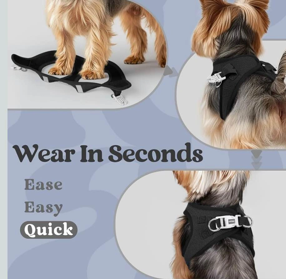 Rabbitgoo Small Dog Harness - photo 5