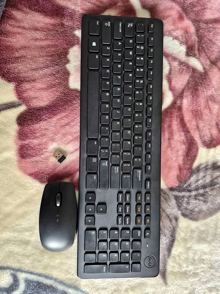 Keyboards and mouse