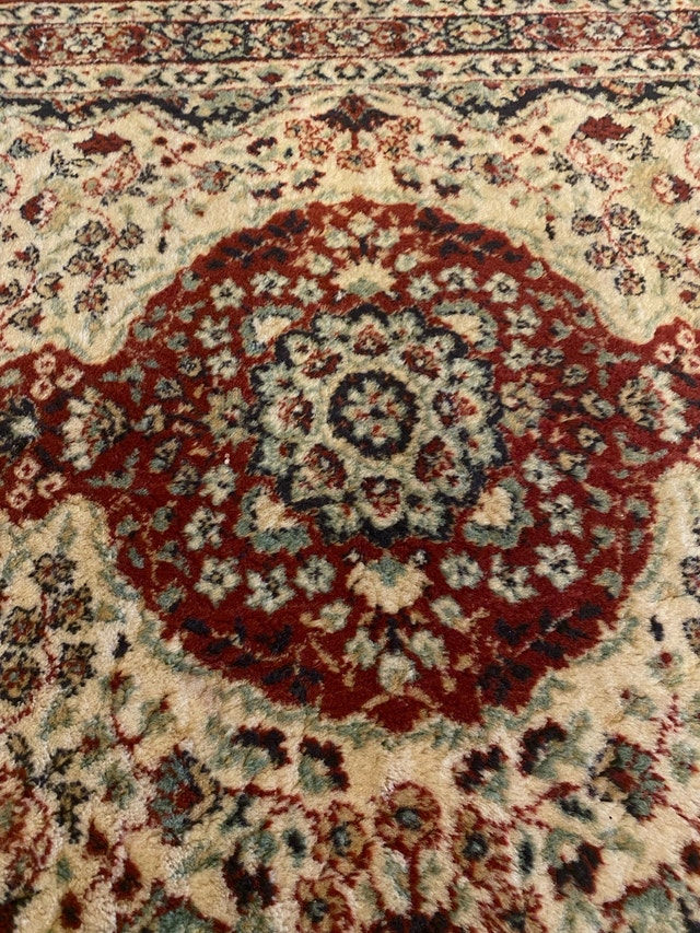 Beautiful Traditional Floral Area Rug – $75 - photo 4