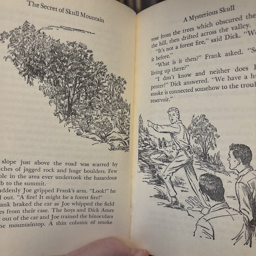 VINTAGE FRANKLIN W. DIXON HARDY BOYS MYSTERY #27 The Secret Of S - photo 5