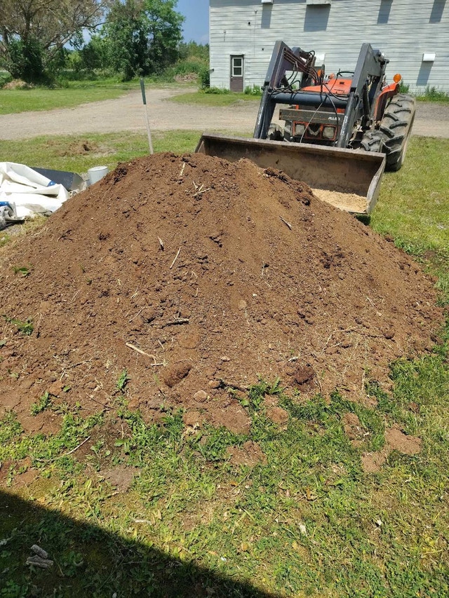 Aged Chicken Manure