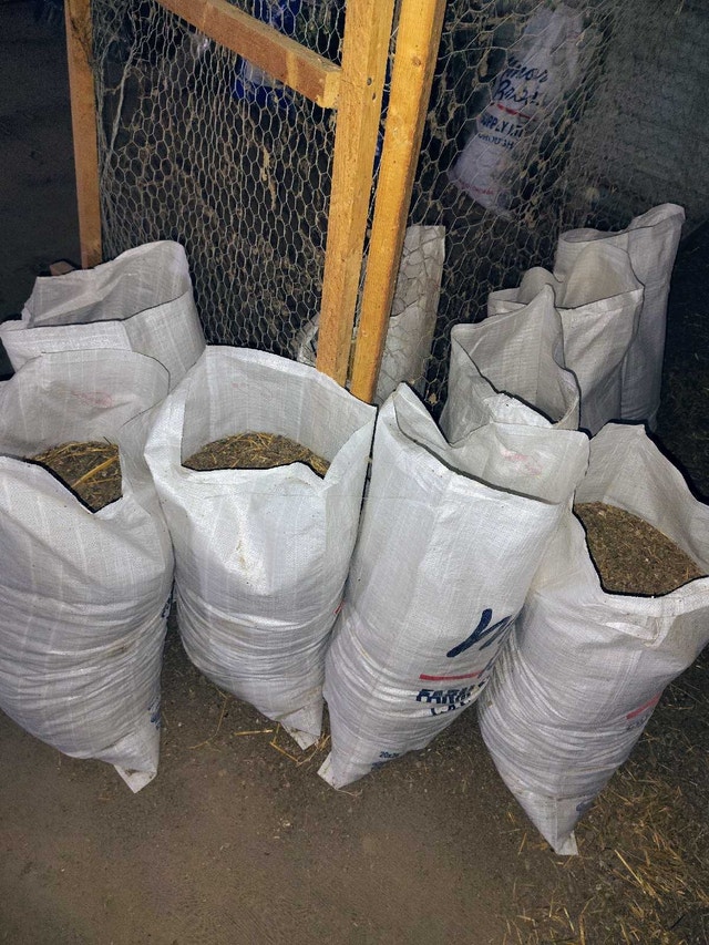 Bags of Chicken Manure (Another Load)