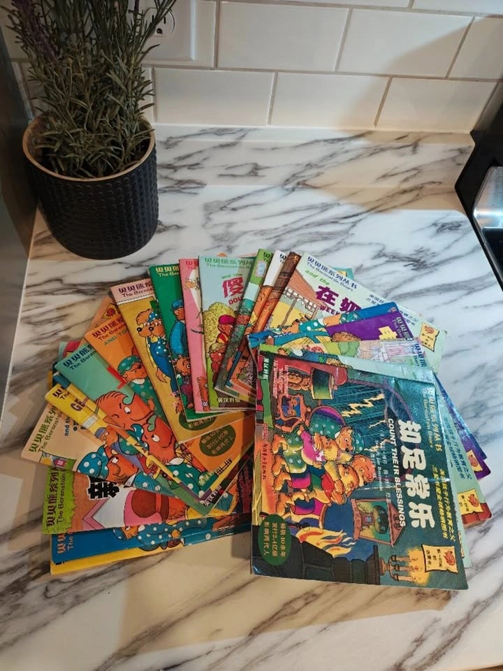 Berenstain Bears 21 Book Chinese English Collection - photo 3