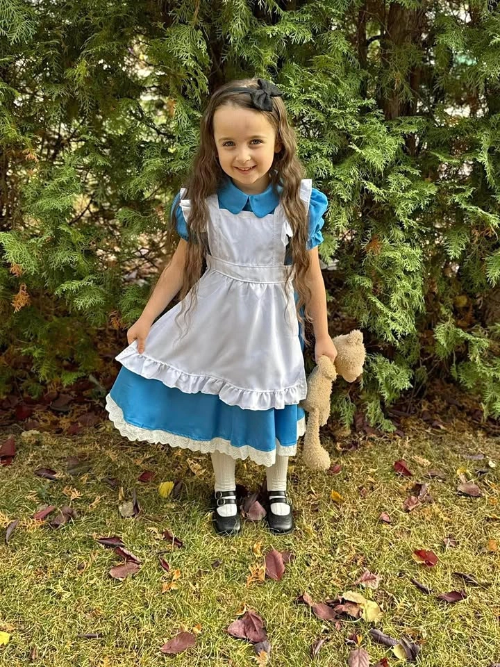 Alice In Wonderland Dress 5/6