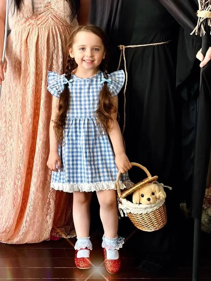 Dorothy Wizard Of Oz Costume Size 4T - photo 2