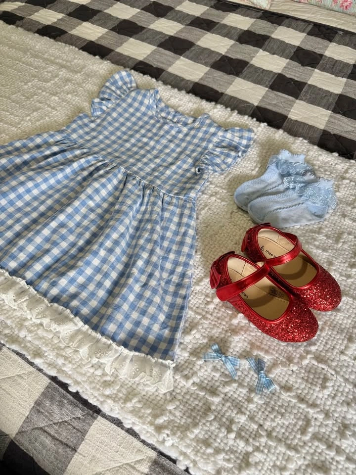 Dorothy Wizard Of Oz Costume Size 4T - photo 4