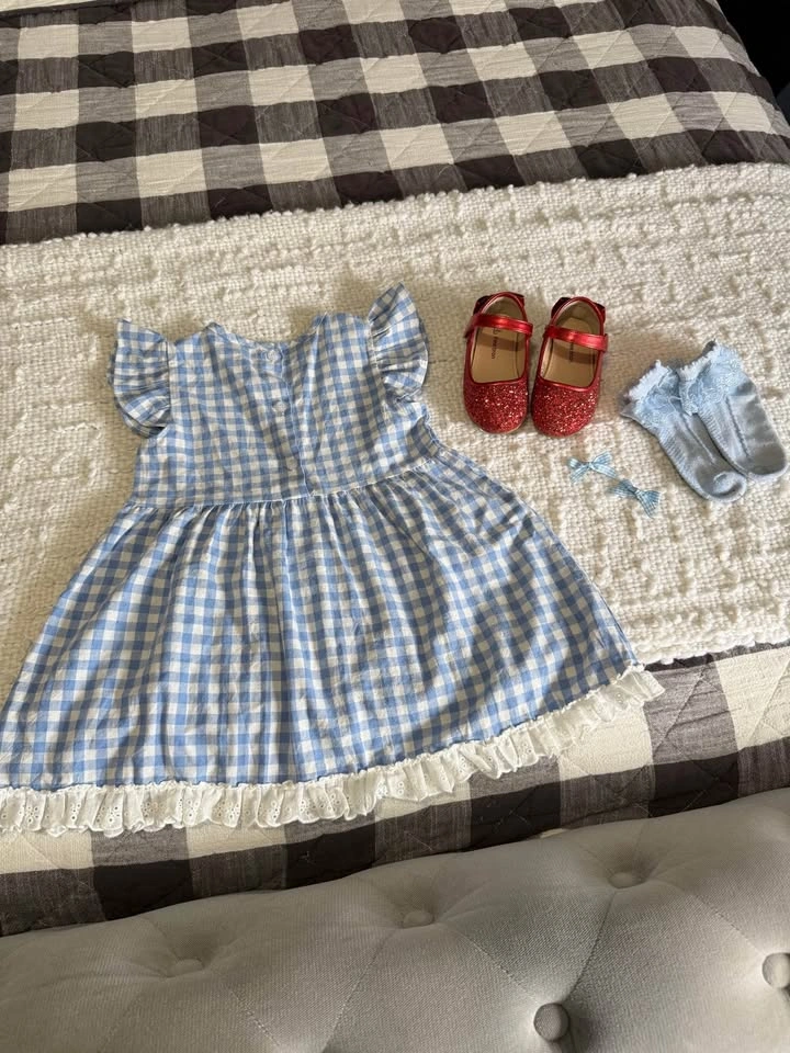 Dorothy Wizard Of Oz Costume Size 4T - photo 5