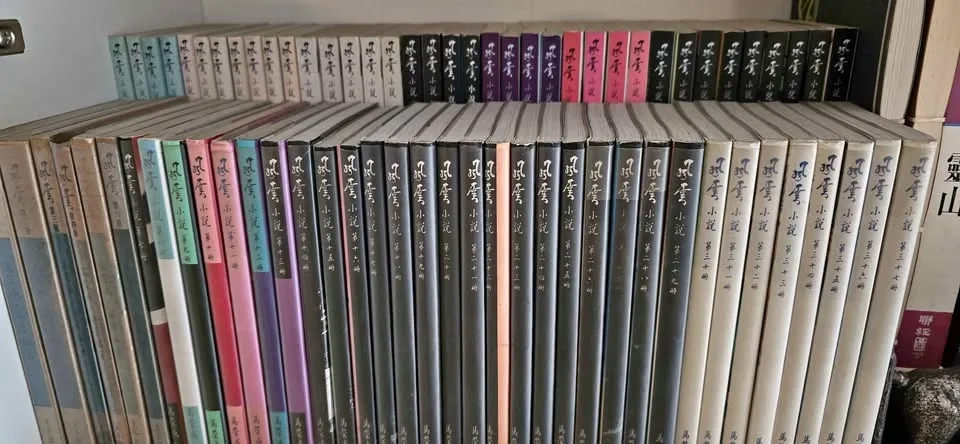 Storm Riders Chinese Novel & Art Books (65+9 volumes)