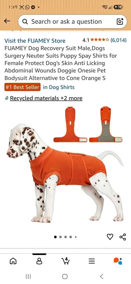 Dog Recovery Suit -Small