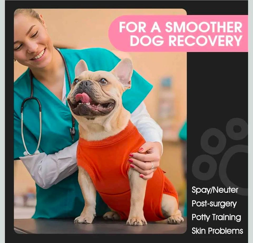 Dog Recovery Suit -Small - photo 3