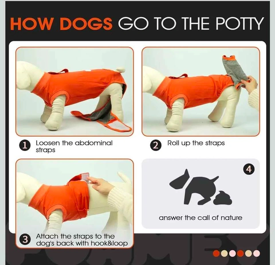 Dog Recovery Suit -Small - photo 5