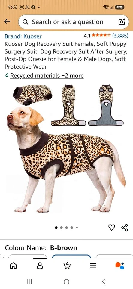 Dog Recovery Suit- XXL