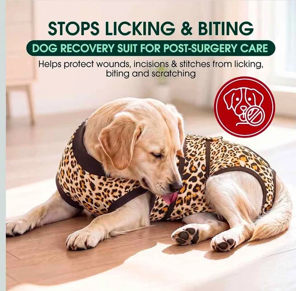 Dog Recovery Suit- XXL - photo 4