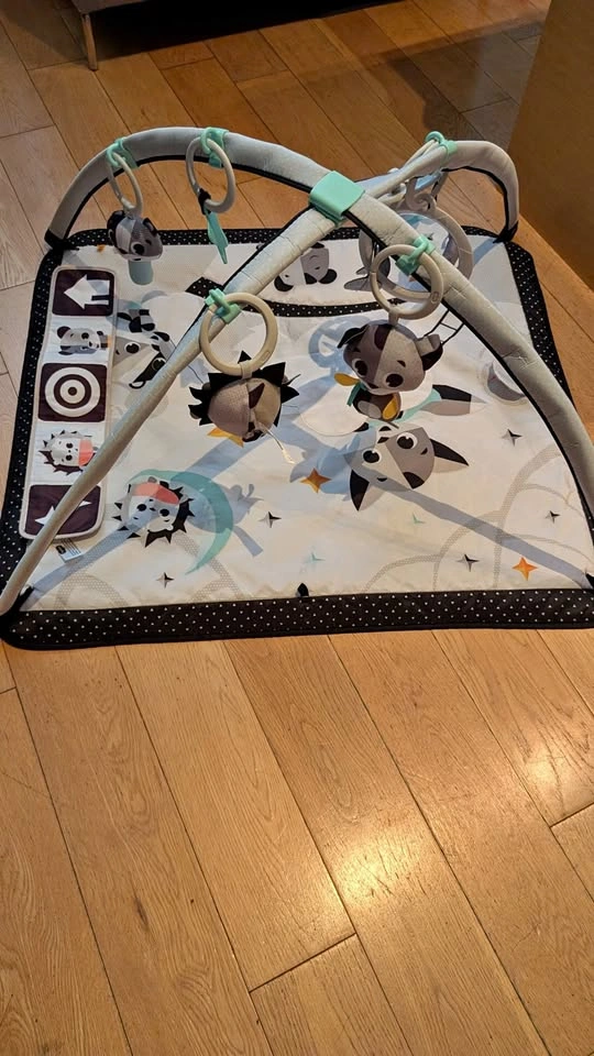 Infant Play Mat - Tiny Love Magical Tales Gymini
