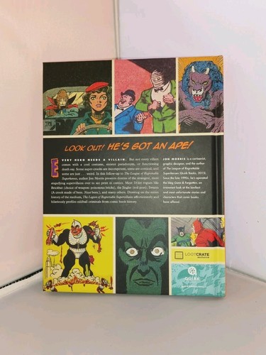 Loot Crate Exclusive The Legion of Regrettable Supervillians - photo 2
