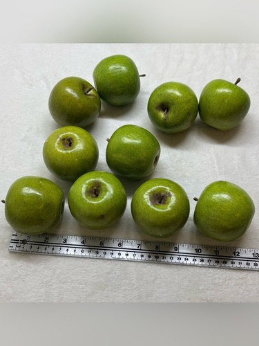 Vintage Y2K Chintz And Co Green Faux Apples Decor Set - photo 3