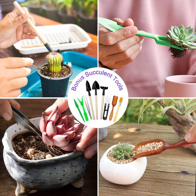 NEW Garden Tools Set 83 Piece, Succulent Included, Heavy Duty - photo 3