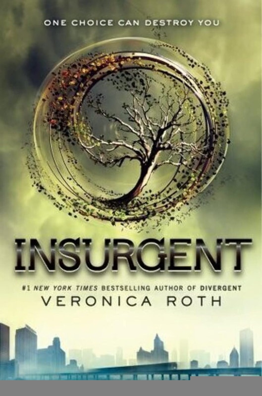 3 Divergent Series Hardcover Books: Divergent, Insurgent, Allegi - photo 5