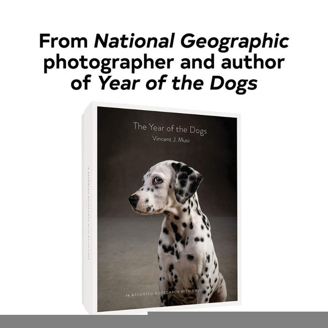 NEW The Year of the Dogs Notecards: 16 Dog Portrait Cards - photo 3