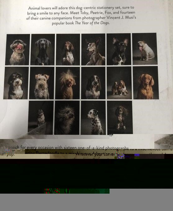 NEW The Year of the Dogs Notecards: 16 Dog Portrait Cards - photo 4