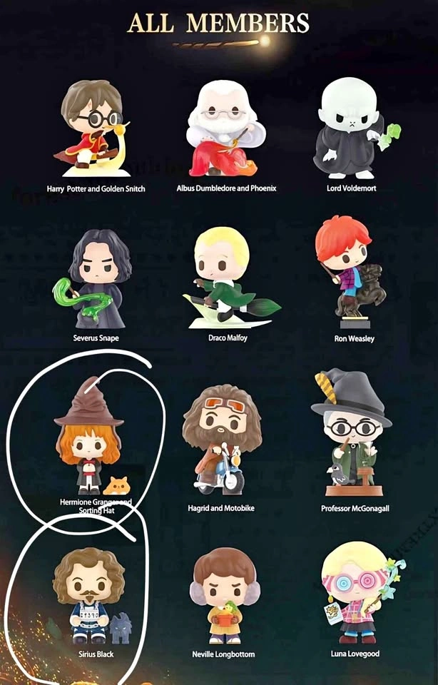 Popmart Harry Potter Wizarding World Magic Series Figures