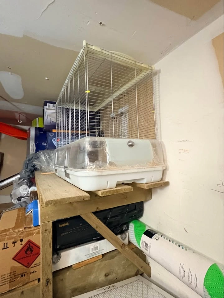Bird Cage for sale - photo 2
