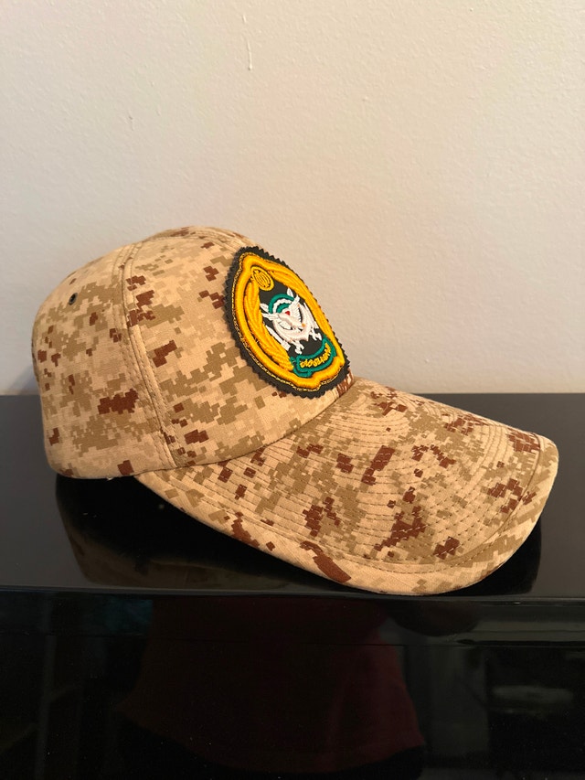 Iranian Army (Artesh) digital desert camouflage baseball cap