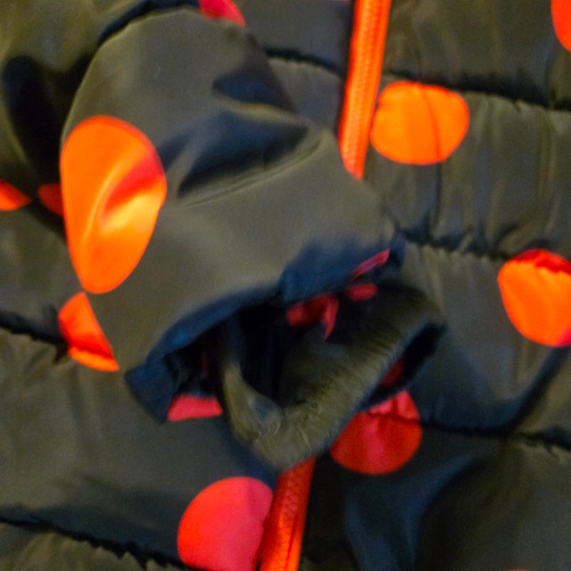 Disney's Minnie Mouse Children's Winter Jacket - photo 4