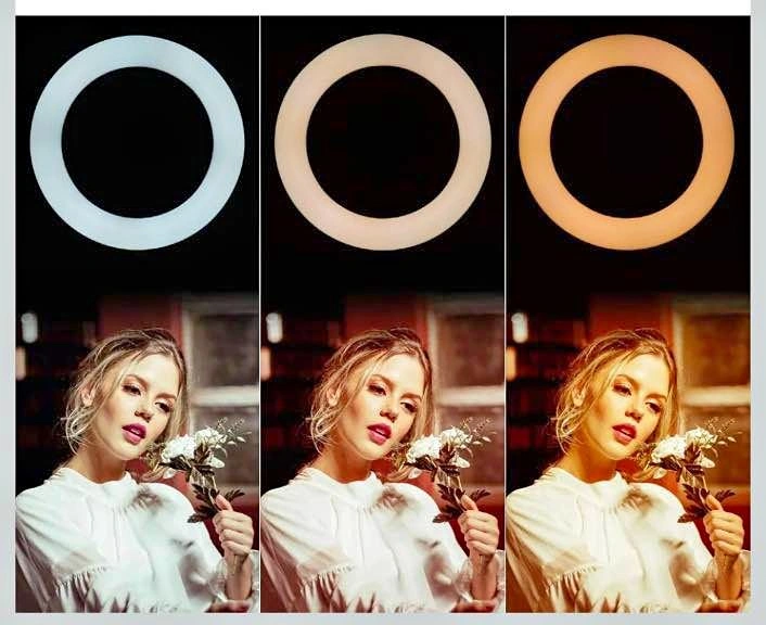 Ring Light 10", Dimmable with 3 Light Modes & 10 Brightness
