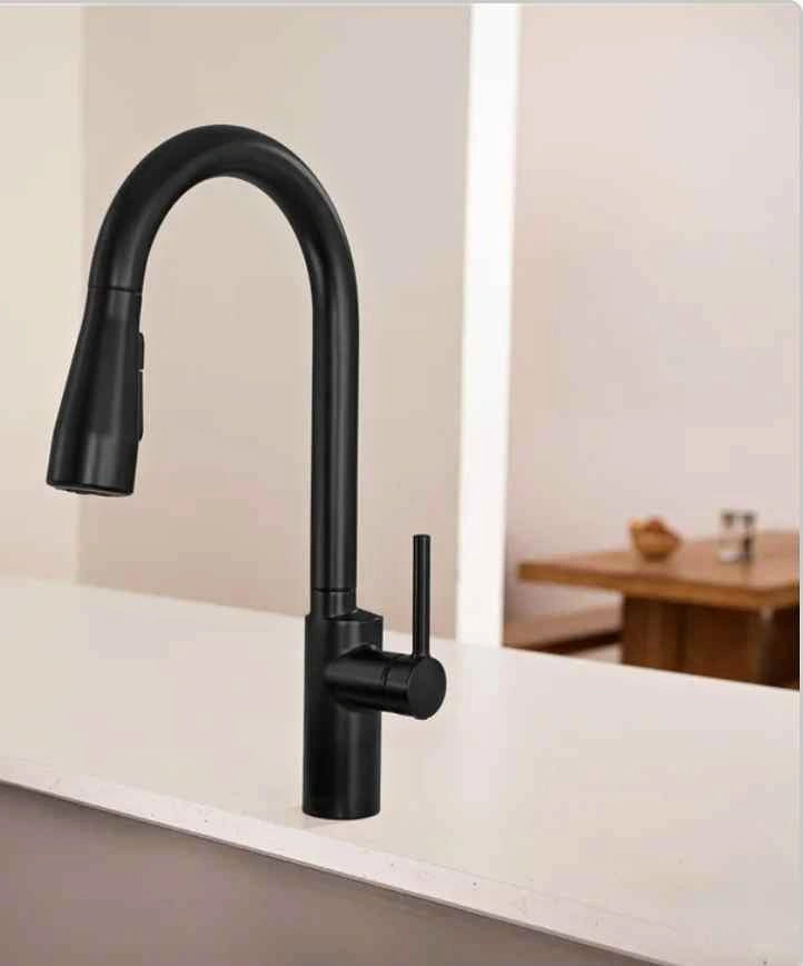 Brondell Alameda Single Handle Pull-Down Kitchen Faucet