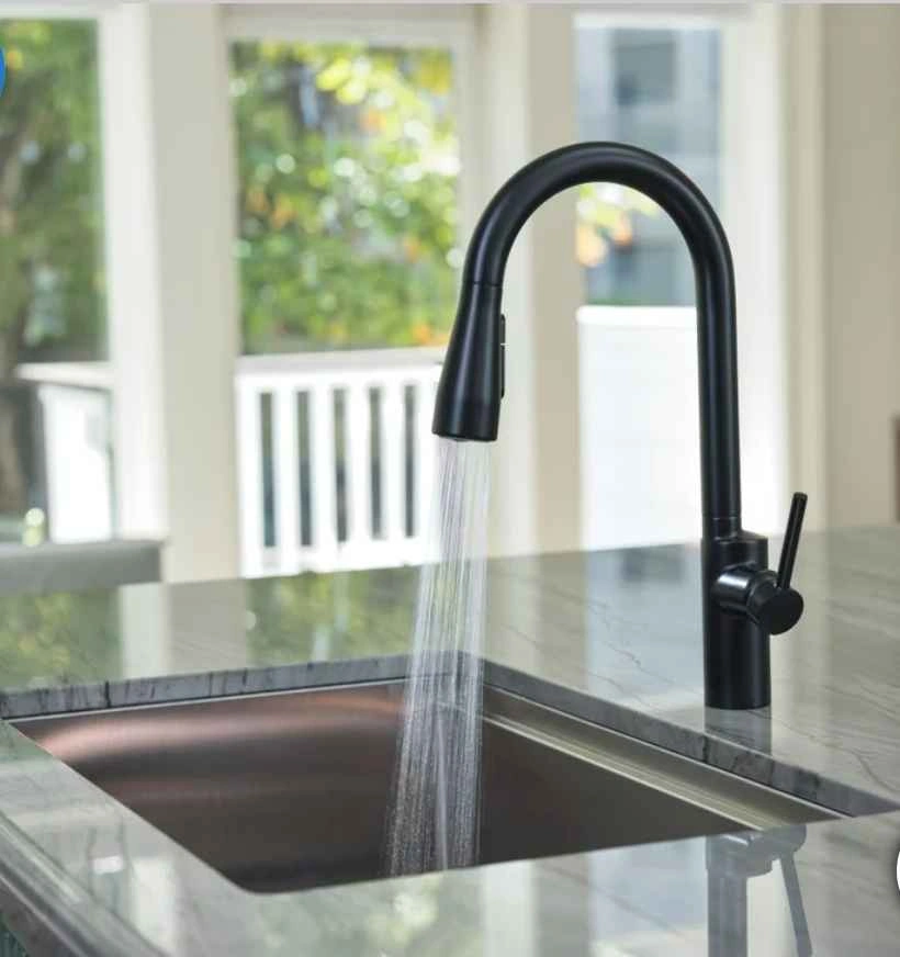 Brondell Alameda Single Handle Pull-Down Kitchen Faucet - photo 3