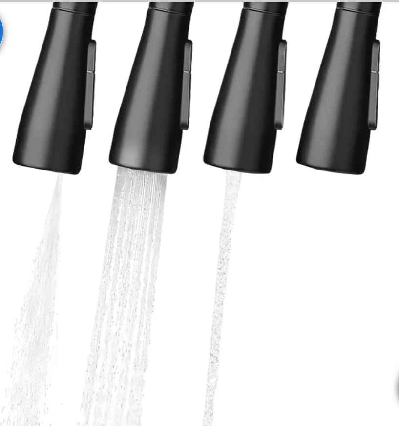 Brondell Alameda Single Handle Pull-Down Kitchen Faucet - photo 4