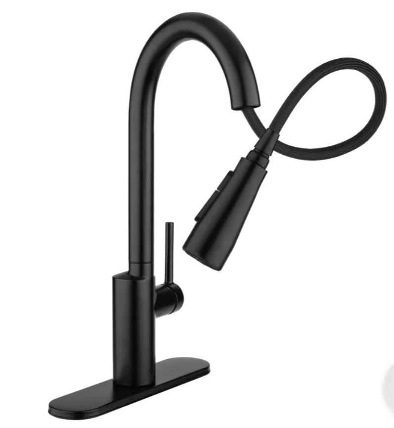 Brondell Alameda Single Handle Pull-Down Kitchen Faucet - photo 5