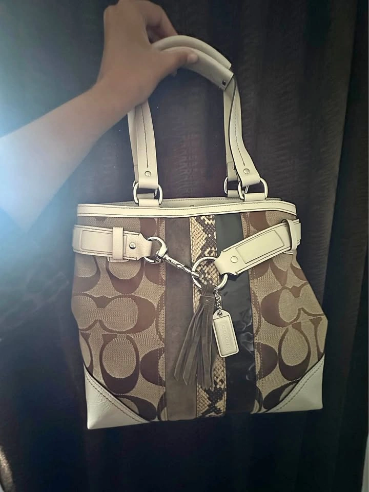 Vintage Coach Bag + Dust Bag