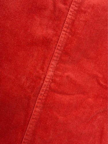 NWT Juniors Small, Deep Coral Corduroy Skirt - Forever 21 - photo 3