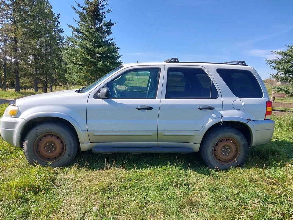 2007 Ford Escape - photo 4
