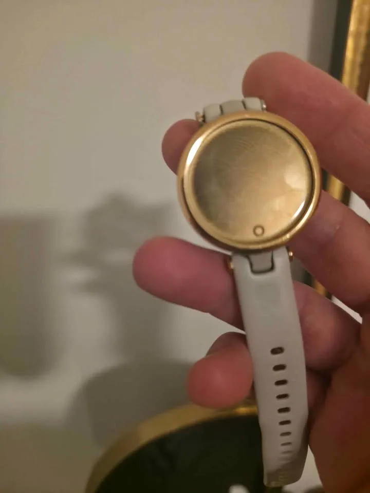 Garmin Lily watch image indicator(3)