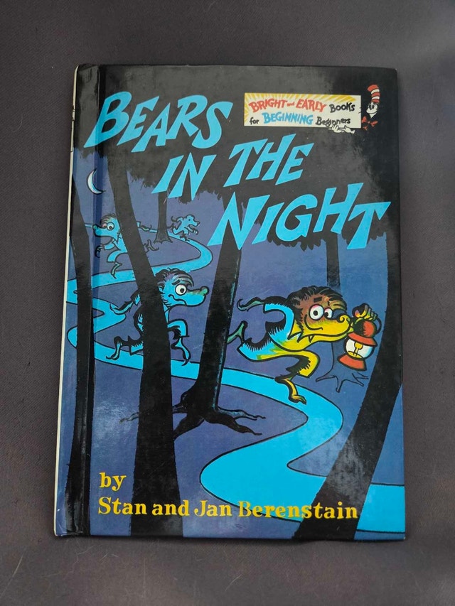 Berenstain Bears Bears in the Night Book