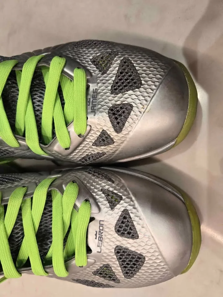 Nike Air LeBron image indicator(7)