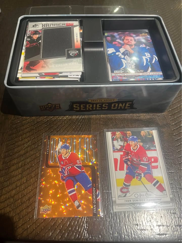 Hockey Card Lot – Demidov, Parallels, Inserts & Memorabilia - photo 3