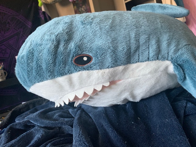 Ikea Shark