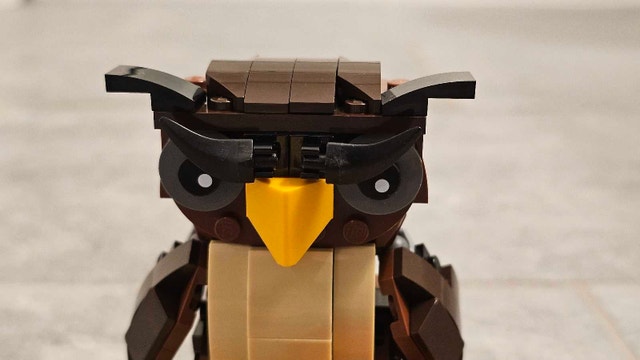 LEGO 40497 Halloween Owl - photo 4